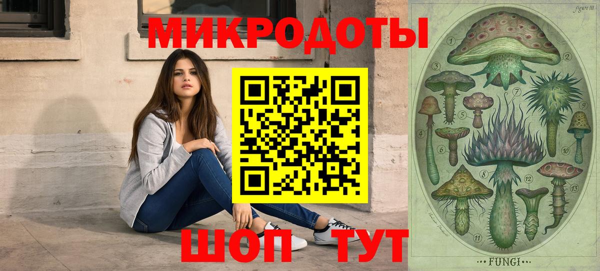 Кохма  Псилоцибиновые грибы прущие грибы  Псилоцибиновые грибы мицелий  Вход с VPN 