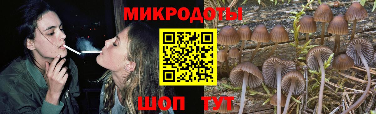 Псилоцибиновые грибы GOLDEN TEACHER Кохма